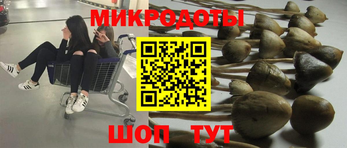 Псилоцибиновые грибы MAGIC MUSHROOMS Прокопьевск