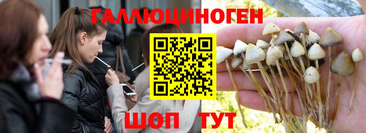 Галлюциногенные грибы MAGIC MUSHROOMS  Вход с VPN  Прокопьевск 